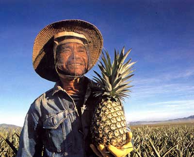 pineapple farmer bukidnon