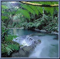 laguna hidden valley springs